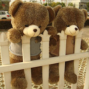 毛毛熊1.6米大号熊娃娃(熊娃娃，)公仔1.2米泰迪熊毛绒玩具情人节女生日礼物