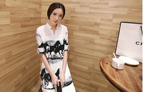 <em>女士雪纺衫</em>2014夏装新款韩版休闲中长款气质