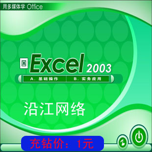 Office2003 Excel 2003（Word/ppt/Access）入门到精通视 频教 程
