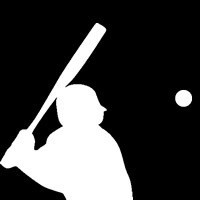 Baseball Aristocratic family glove Bat freight Spread universal Order Correspondence Specific Commodity 23259358in the Sports/Yoga/Fitness/Fans supplies , Baseball , Bat category - from Buy2taobao.com to provide professional Taobao agent buy service