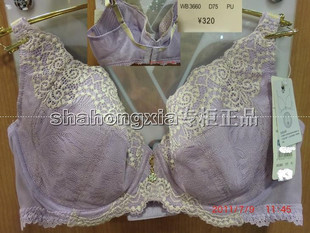 专柜正品 华歌尔WB 3660 2010年春夏新款薄杯文胸 320-190