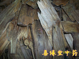  热销特价中药材 马来西亚 天然沉香 薄片果香味 香薰泡茶入药正品