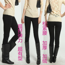 2012春包邮加厚松紧腰小脚铅笔裤女裤哥弟针织面料大码打底裤