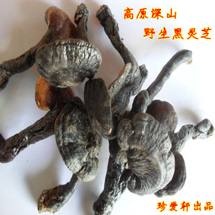  云南名贵药材 高原深山特级野生黑灵芝(黑芝100g) 珍品 免费打粉