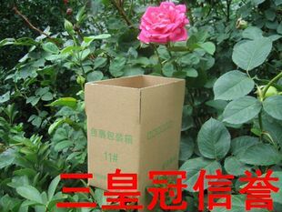 ★四皇冠信誉★超低价◆普质◆邮政纸箱/包装纸箱子纸盒子11#三层