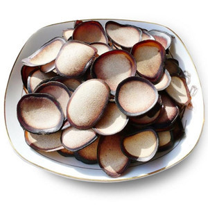  【天猫正品】鹿茸白粉片(带蜡圈) 一等品质 满30克包邮送10克血片