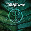 《Deep Forest黑森林》及成员音乐作品10专辑（一张DVD APE格式）