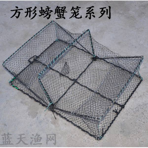 蟹翁不盖蟹笼 - 半袖新闻网