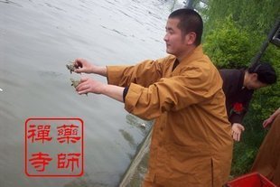 药师禅寺 农历六月初三韦驮菩萨圣诞日 放生祈福 功德殊胜