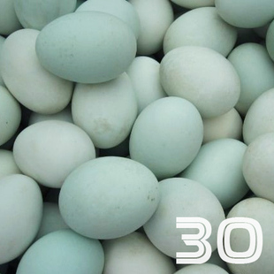  恒蜂源 乌鸡蛋30枚 山间散养 新鲜绿壳土鸡蛋 包邮