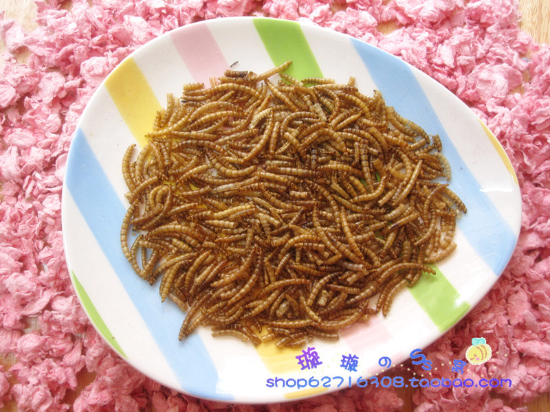 仓鼠金丝熊零食仓鼠粮食 特价面包虫 面面干 15G特价 补充蛋白质|ruв категории животное/Животное питание и принадлежностей, хомяк класса и других малых животное, корма/закуски - от Buy2taobao.com для оказания профессиональной услуги покупки агента Taobao