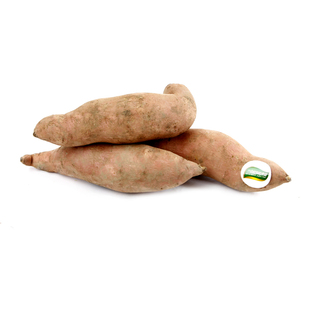  三安超有机蔬菜 红薯 地瓜 新鲜蔬菜500g  限北京地区购买