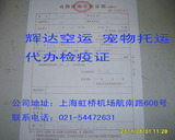 taobao english 10677136362