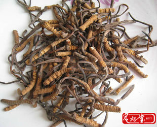  宏裕堂 年新冬虫夏草 精选青海玉树野生断虫草 断草 冬虫夏草