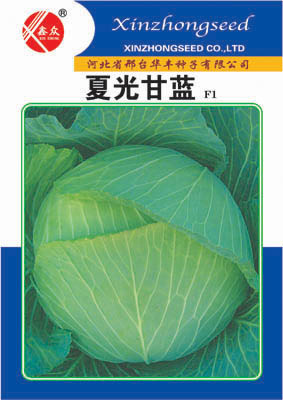 Xia Guang Flat ball Cabbage seed Heat Summer Cabbage seed Lotus seed white seed Vegetable Seedsin the Agricultural Machinery/Farm tools/Plastic sheeting , Agricultural Tools , Irrigation Tools category - from Buy2taobao.com to provide professional Taobao agent buy service