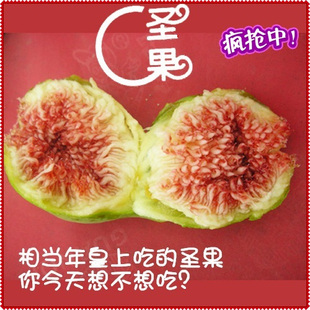  现货冷冻新鲜无花果 农家自种纯天然 孕妇老人小孩病人等最佳水果