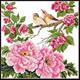 DMC套件-鸟语花香