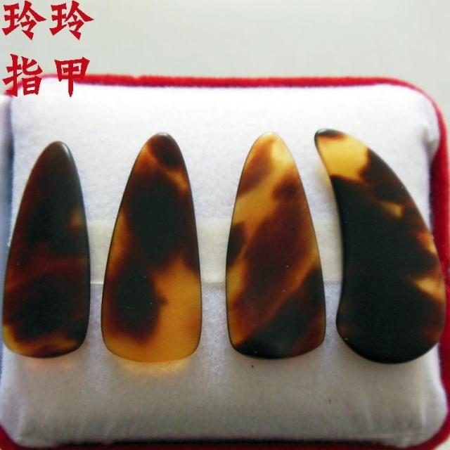 major natural Guzheng nail plane Guzheng Play nail Large trumpet 4 slicesin the Musical Instruments/Guitar/Piano/Fitting , Musical Instrument Accessories , Nail instruments category - from Buy2taobao.com to provide professional Taobao agent buy service
