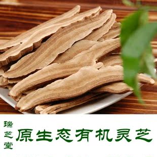  精品有机灵芝片 赤灵芝 半野生灵芝 安心养神健脾和胃