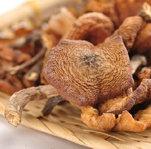  东北野生榛蘑菇 250g 野生食用菌 小鸡炖蘑菇 特产干货 嘎嘎香