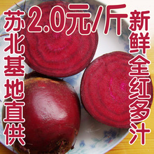 新鲜蔬菜水果 北方极品有机甜菜根 红菜头 纯红多汁 特价2元！