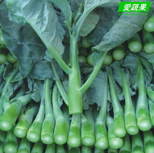  【爱蔬果】绿色食品新鲜蔬菜 芥蓝 白花芥蓝 北京同城配送