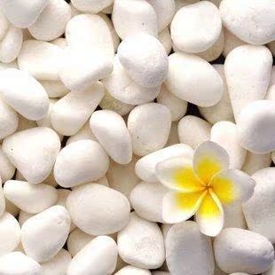 冲钻兵哥哥花铺 小石子 白色雨花石 水培盆栽植物装饰品 园艺用品