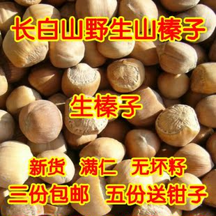  长白山野生榛子 无污染小山榛子 生榛子 不开口 3份包邮5份送钳子