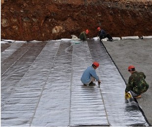 家用防水卷材 楼顶防水卷材 SBS自粘防水卷材