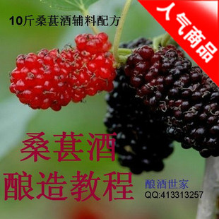 20斤桑葚酒辅料配方 酿酒世家 手把手教你酿造桑葚酒 桑葚酒