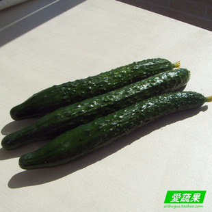  【爱蔬果】绿色食品新鲜蔬菜 黄瓜 青瓜 胡瓜 北京配送