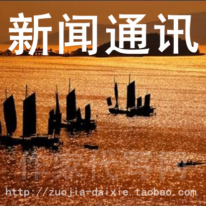 代写党建公文材料工作总结计划经验汇报述职报