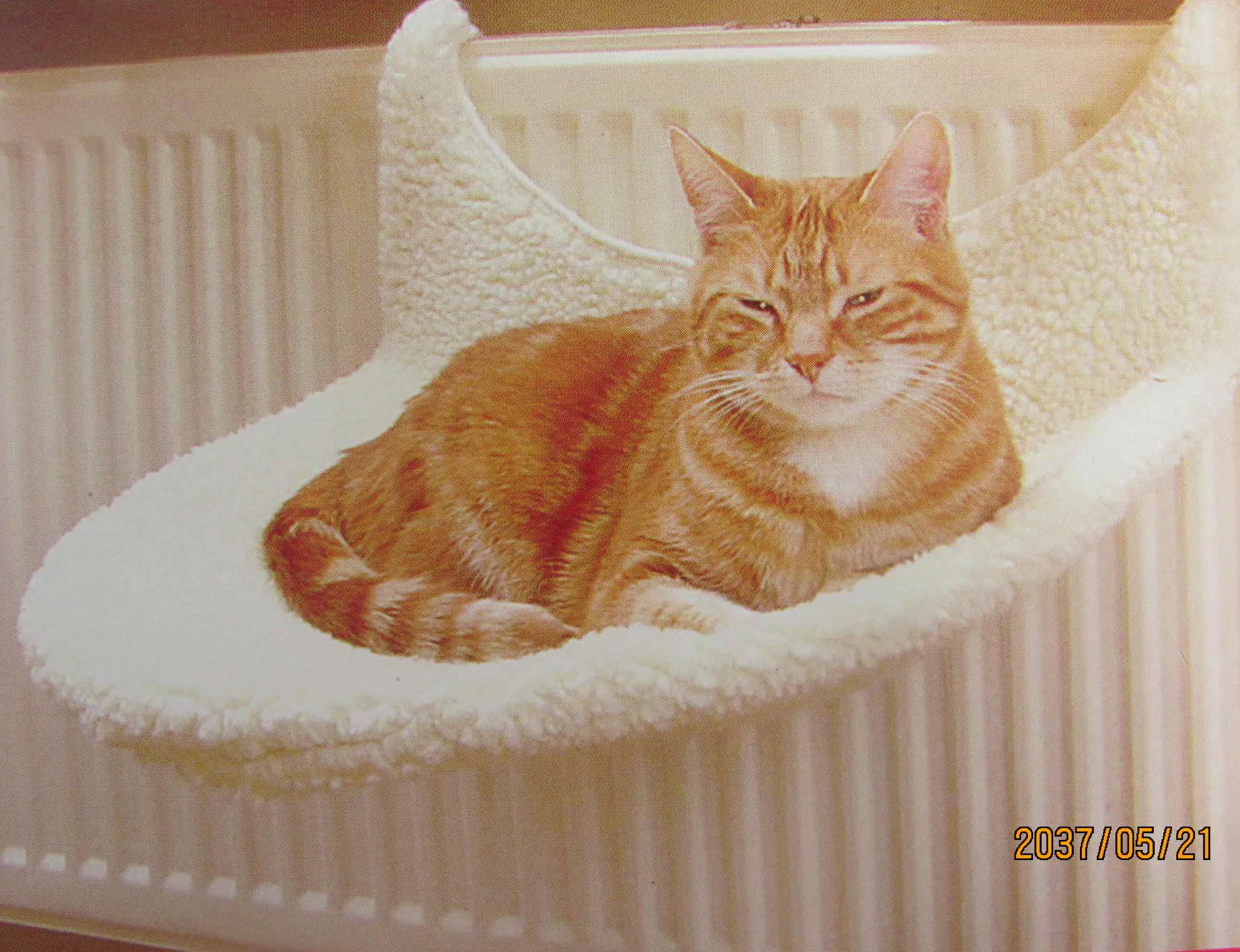 高档品质猫窝 牢固 猫用挂床 挂椅 猫床 猫咪用 外贸<span class=H>宠物</span><span class=H>用品</span>