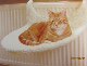 高档品质猫窝 牢固 猫用挂床 挂椅 猫床 猫咪用 外贸宠物用品