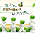 生态E园 最新款动感小白人 大号 好种易生长发芽率高(我活跃)