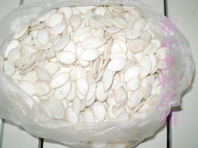 白瓜子 窝瓜籽 生南瓜籽 果仁饱满 每份 250克 5份包邮|msdalam kategori makanan ringan/Nuts/Specialty, Hickory/Nuts/pemanggangan, biji tembikai - dari Buy2taobao.com untuk memberikan perkhidmatan ejen Taobao profesional membeli