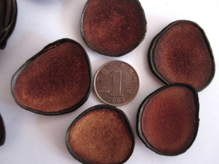  [常氏]阿拉斯加鹿红粉片 红粉片 红粉片 鹿茸片 5.2元/克