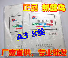 资料膜 过塑膜 A3 塑封膜 新蓝鸟 保护膜 过塑膜 A3 8C 丝 80MIC