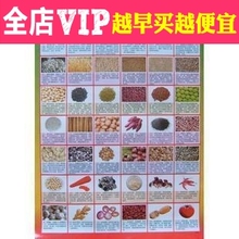 厨房精品 健康食谱挂图 忌口防病 食物营养均衡 养生食疗 40g