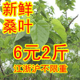 taobao english 14417914259