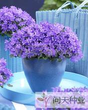 H30�ձ���(TAKII) ���ڻ��ܻ����� �л������ �������� 10��