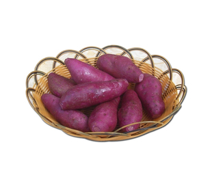  中国有机绿色食品专营 天地生 紫薯500g 新鲜蔬菜 北京满百包邮