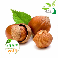 林芝缘特级东北大榛子 4份包邮送50克黑加仑再送钳子16.79元250克