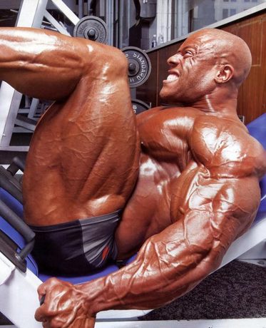 体育海报 健美海报 健身房贴画 奥林匹亚先生 肌