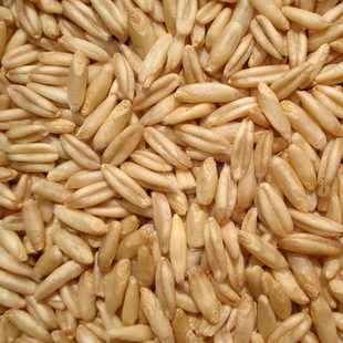  一品优 东北燕麦米 燕麦仁 五谷杂粮 百岁老人长寿秘诀 500g