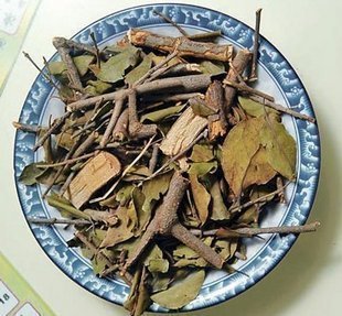 柿子树寄生茶功效与作用图片_求助各位宾阳兄弟姐妹…宾阳社区宾阳生活