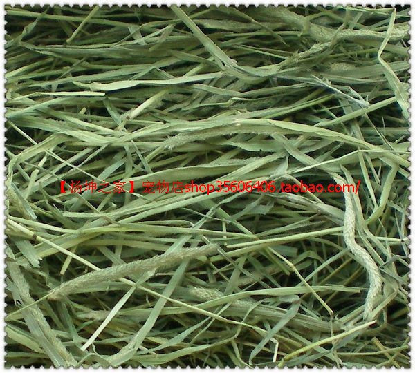 2016 domestic high quality Timothy grass Grazing grass mention West 1500g 3 poundsin the Pet/Pet food and supplies , Rabbits and supplies , Bunny hay category - from Buy2taobao.com to provide professional Taobao agent buy service