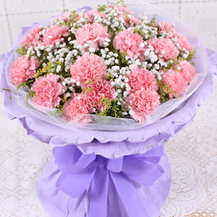 无锡鲜花同城速递 教师节礼物 康乃馨 同城鲜花 鲜花速递|ruв категории доставка цветов/цветок моделирования/растения садоводства, доставка цветов (город) - от Buy2taobao.com для оказания профессиональной услуги покупки агента Taobao