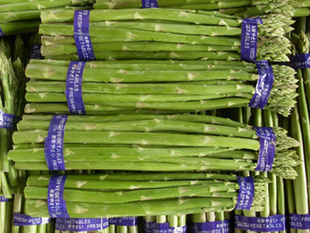  紫薯哥 新鲜蔬菜 新鲜芦笋 （无根）防癌抗癌保健250克