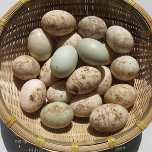  农家自产 散养新鲜土鸭蛋 健康绿色食品私房菜